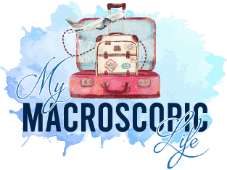 Macroscopic