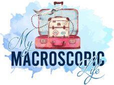 Macroscopic