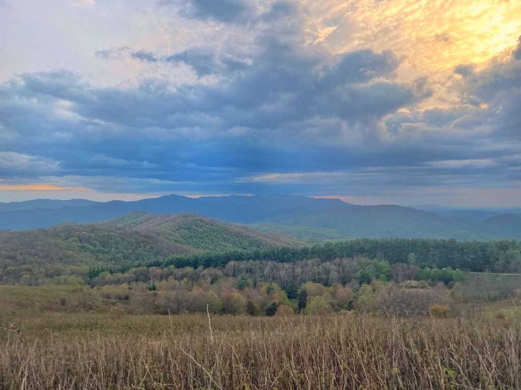 Max Patch Hiking Trail Views