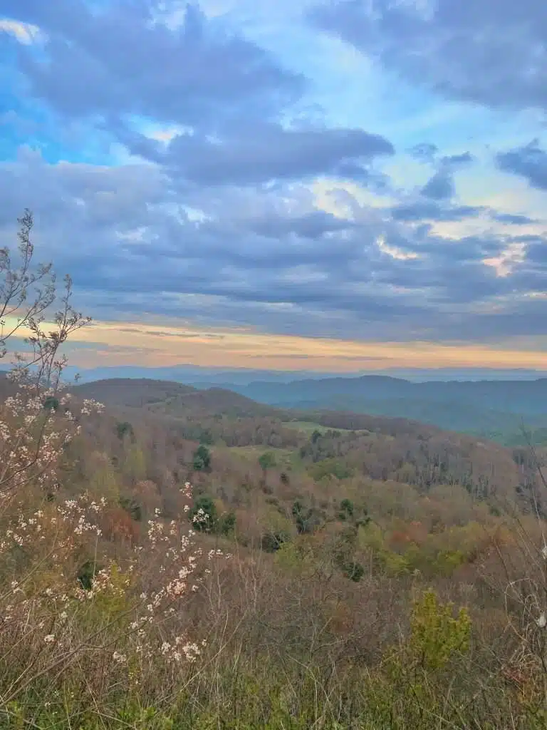 Max Patch Hiking Trail Views