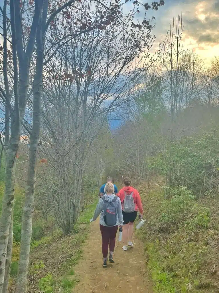 Max Patch Hiking Trail