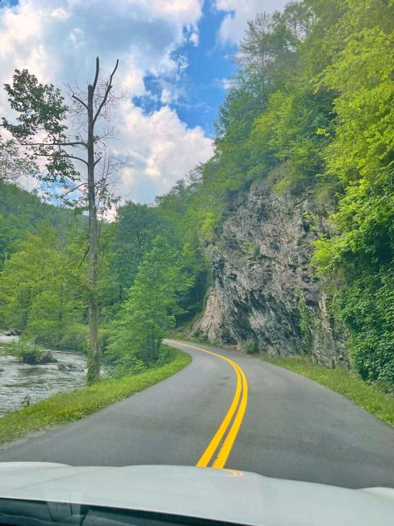 Driving along Little River Gorge Road