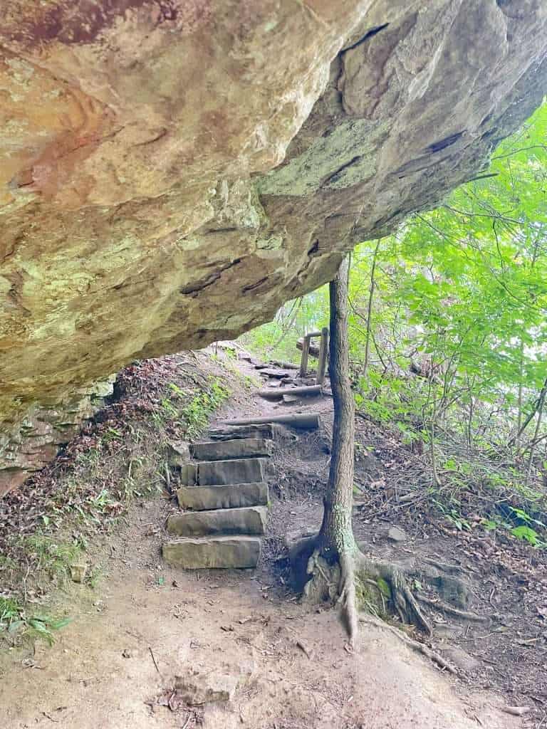 Eagle Falls Hiking Trail