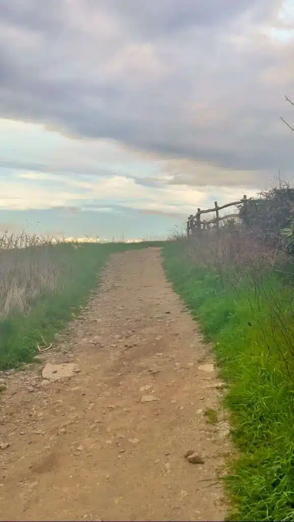 Max Patch Hiking Trail