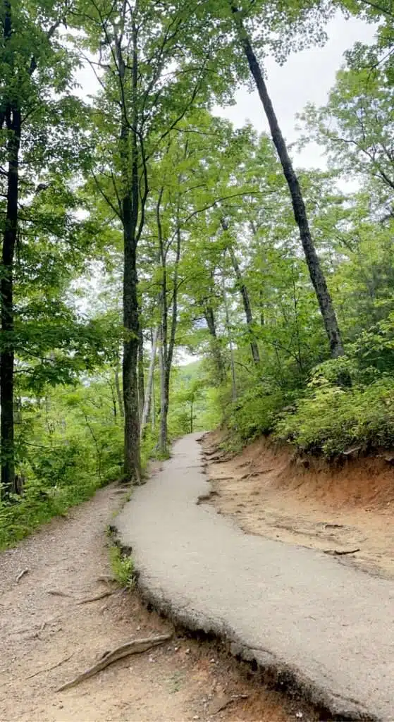 Laurel Falls Trail