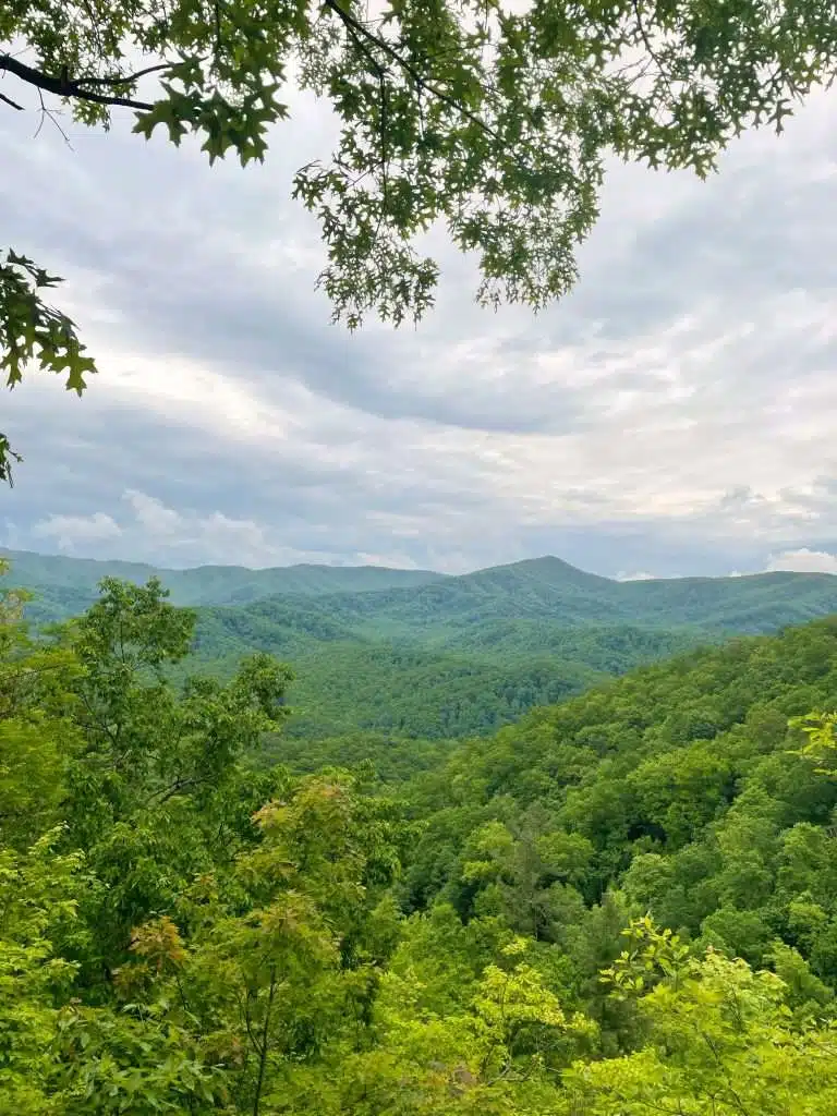 View along the Laurel Falls Trail