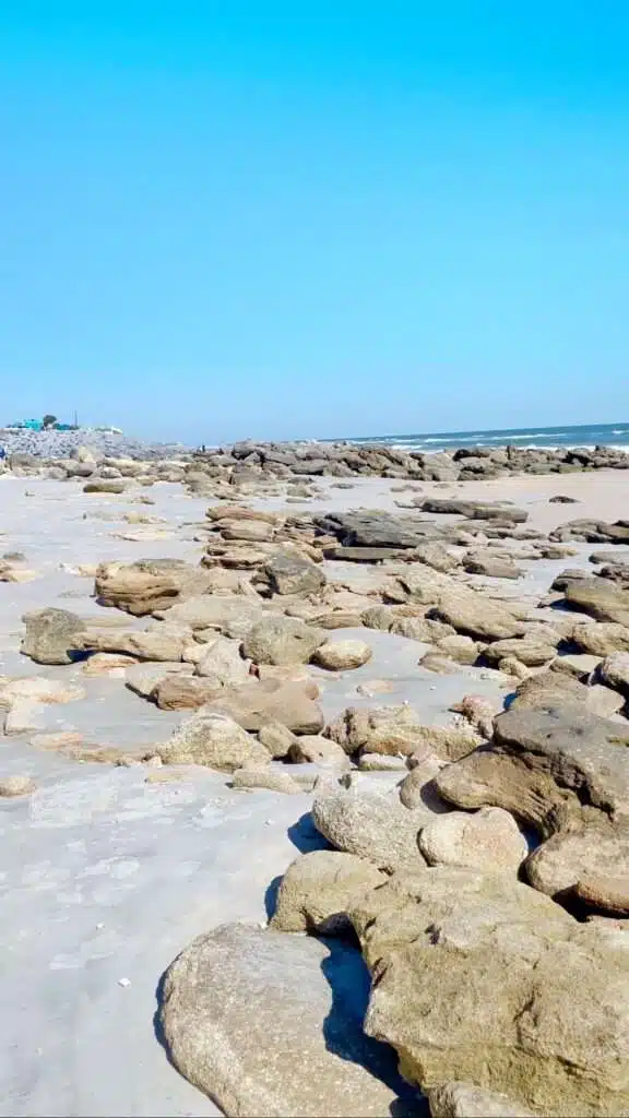 raw coquina in st augustine