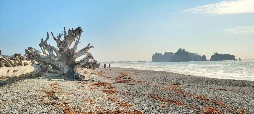 beach in washington state