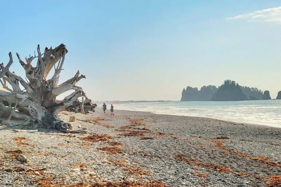 beach in washington state