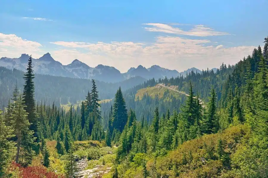 the view while hiking mount rainier