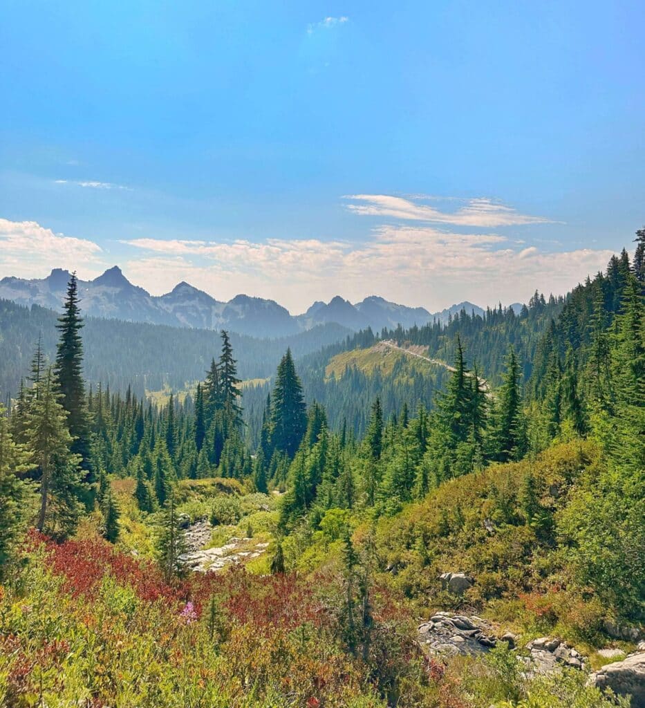 the view while hiking mount rainier