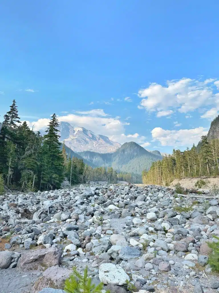 mount rainier national park in washington state