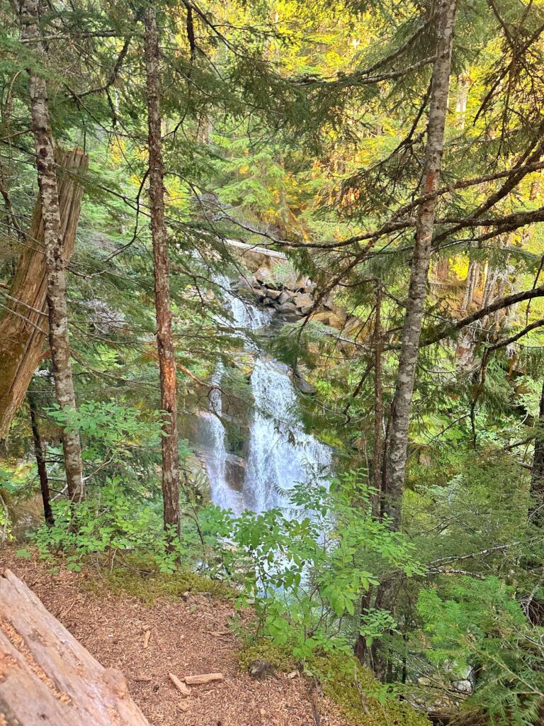 carter falls at mount rainier national park in washington state