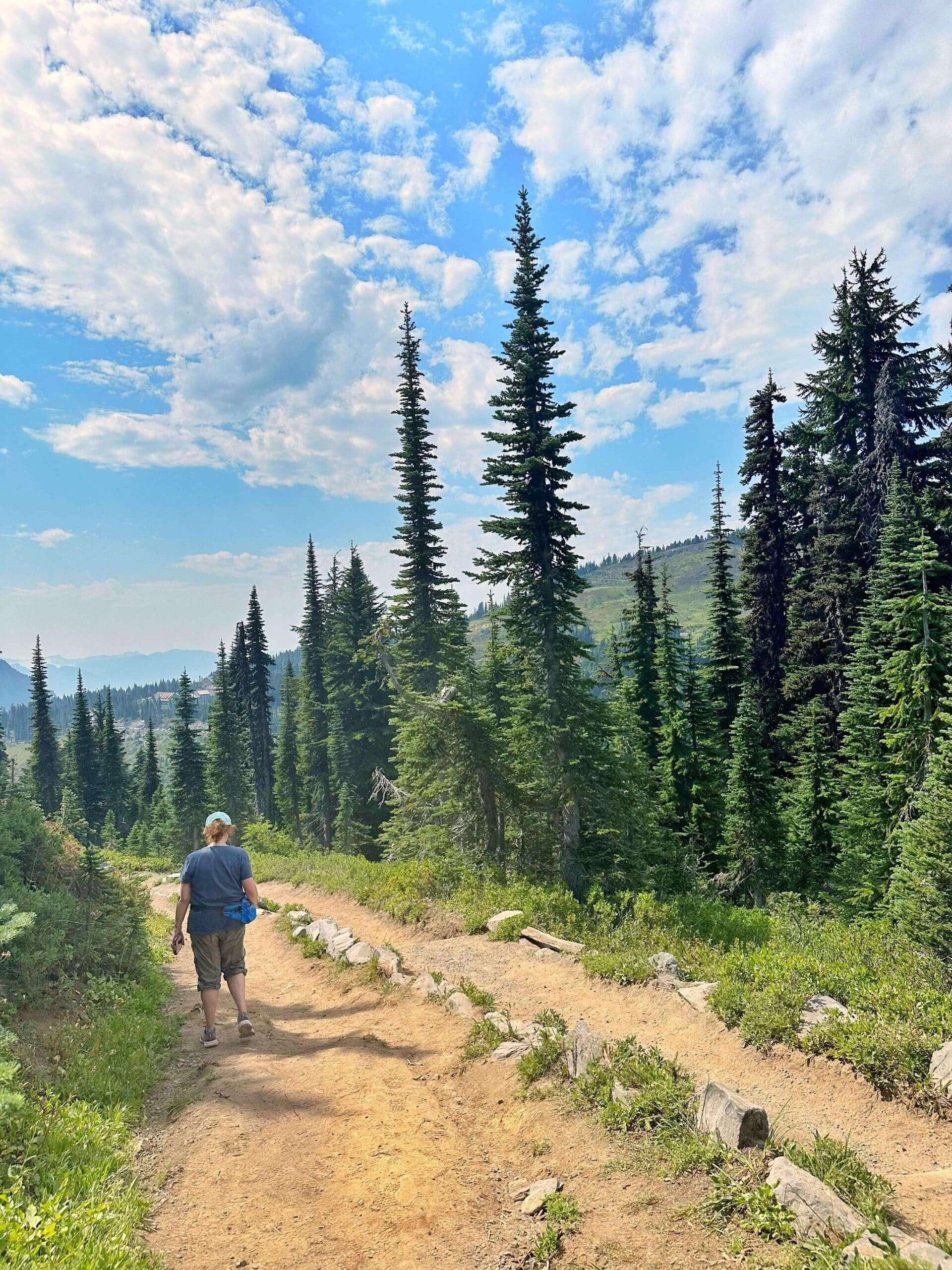 hiking in the summer at Mount Rainier national park