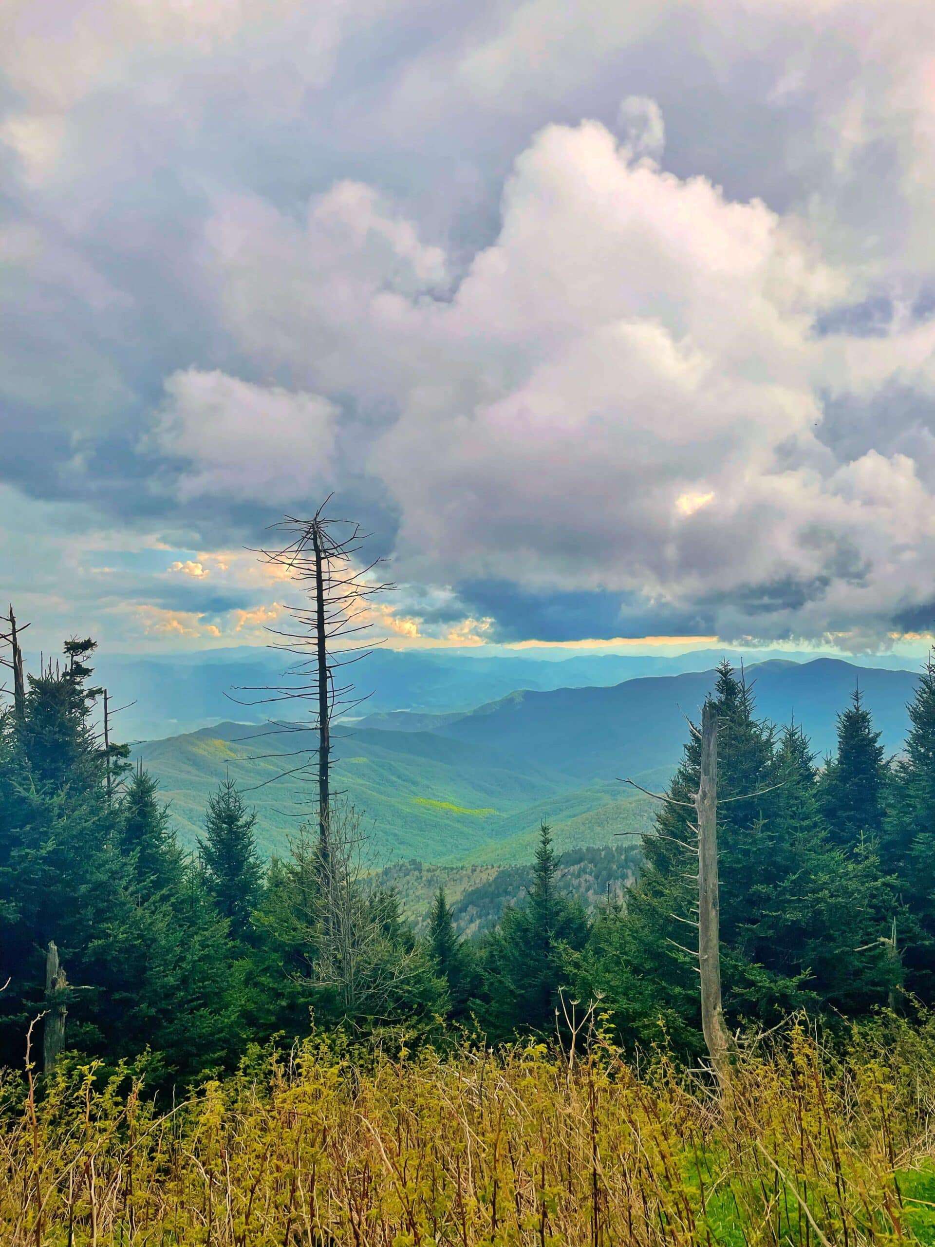 The parking lot at clingmans dome in the smokies