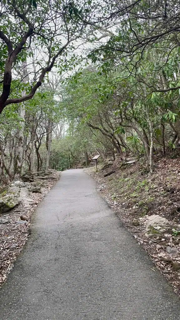 hiking in helen, goergia