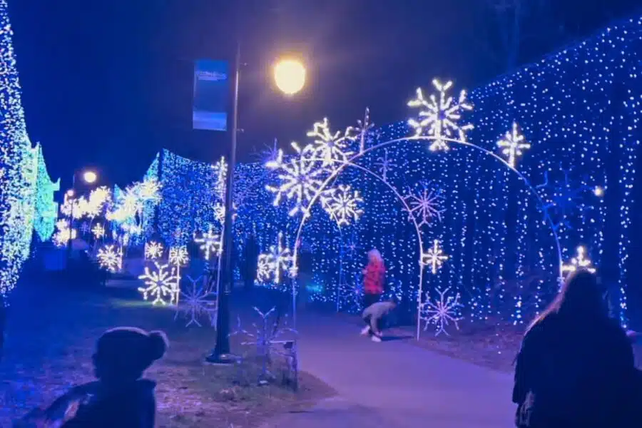 Christmas lights along the walking trail in pigeon forge