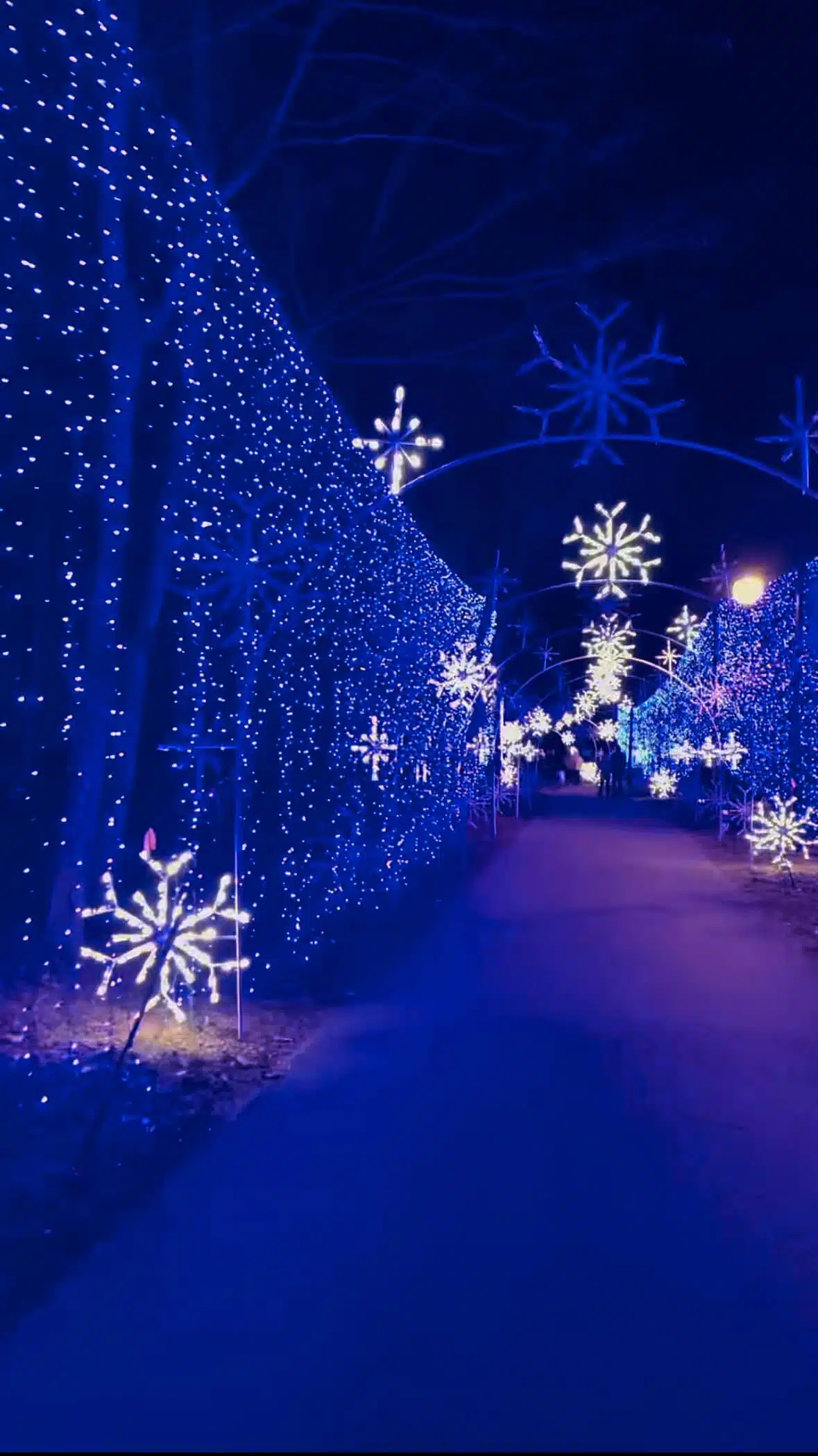 Christmas lights along the walking trail in pigeon forge