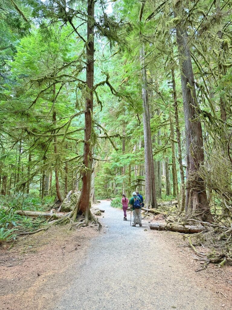 hiking in olympic national park in washington