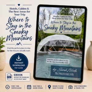 Where to Stay in the Smoky Mountains