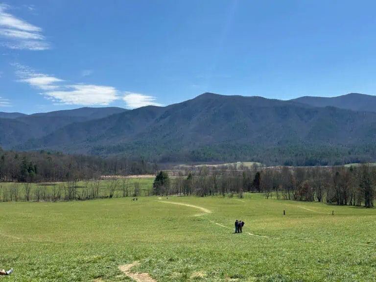 mountain views in cades cove
